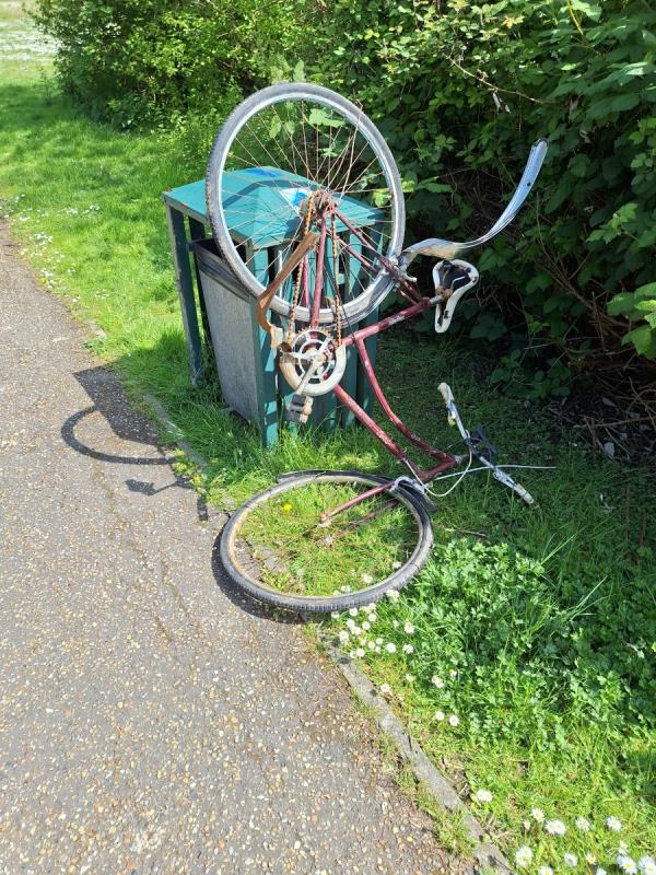 Dumped bicycle by bin just inside sovereign picnic area-Sovereign Park