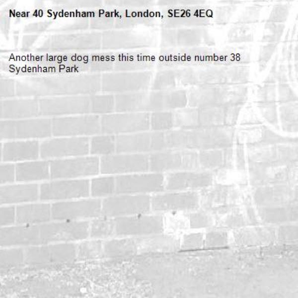 Another large dog mess this time outside number 38 Sydenham Park-40 Sydenham Park, London, SE26 4EQ