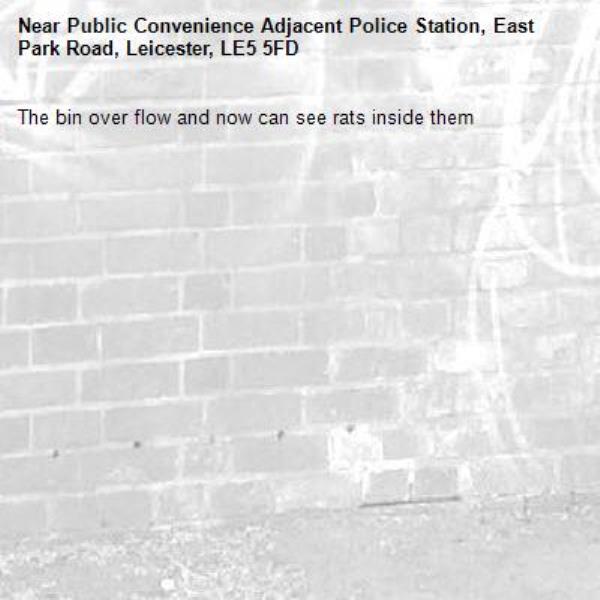 The bin over flow and now can see rats inside them -Public Convenience Adjacent Police Station, East Park Road, Leicester, LE5 5FD