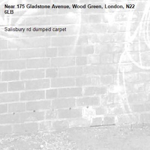 Salisbury rd dumped carpet-175 Gladstone Avenue, Wood Green, London, N22 6LB