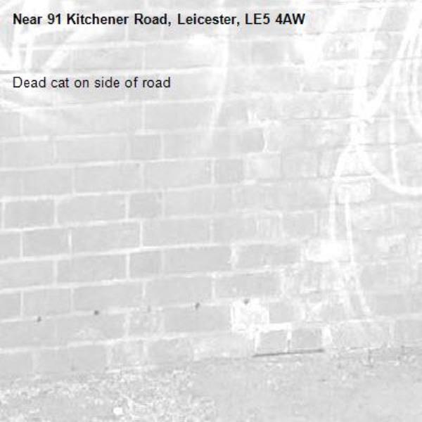 Dead cat on side of road -91 Kitchener Road, Leicester, LE5 4AW