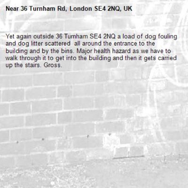 Yet again outside 36 Turnham SE4 2NQ a load of dog shit and dog litter scattered  all around the entrance to the building and by the bins. Major health hazard as we have to walk through it to get into the building and then it gets carried up the stairs. Gross. -36 Turnham Rd, London SE4 2NQ, UK