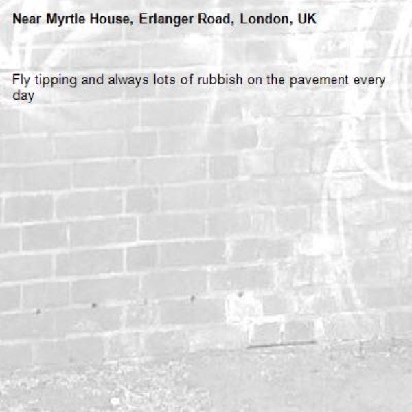 Fly tipping and always lots of rubbish on the pavement every day
-Myrtle House, Erlanger Road, London, UK