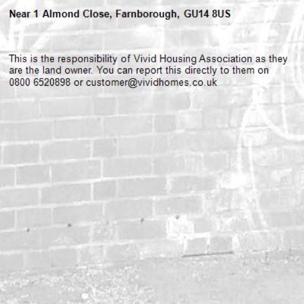 This is the responsibility of Vivid Housing Association as they are the land owner. You can report this directly to them on 0800 6520898 or customer@vividhomes.co.uk-1 Almond Close, Farnborough, GU14 8US