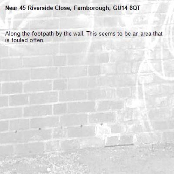 Along the footpath by the wall. This seems to be an area that is fouled often.-45 Riverside Close, Farnborough, GU14 8QT
