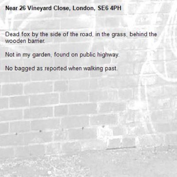 Dead fox by the side of the road, in the grass, behind the wooden barrier.

Not in my garden, found on public highway.

No bagged as reported when walking past.-26 Vineyard Close, London, SE6 4PH