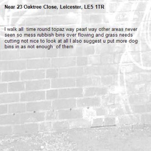 I walk all  time round topaz way pearl way other areas never seen so mess rubbish bins over flowing and grass needs cutting not nice to look at all I also suggest u put more dog bins in as not enough  of them  -23 Oaktree Close, Leicester, LE5 1TR