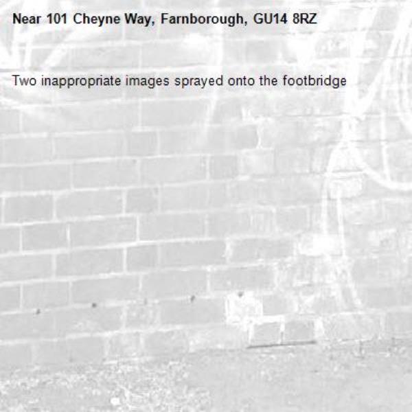 Two inappropriate images sprayed onto the footbridge-101 Cheyne Way, Farnborough, GU14 8RZ