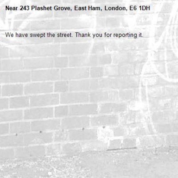 We have swept the street. Thank you for reporting it.-243 Plashet Grove, East Ham, London, E6 1DH