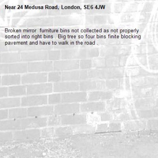 Broken mirror  furniture bins not collected as not properly sorted into right bins . Big tree so four bins finite blocking pavement and have to walk in the road . -24 Medusa Road, London, SE6 4JW