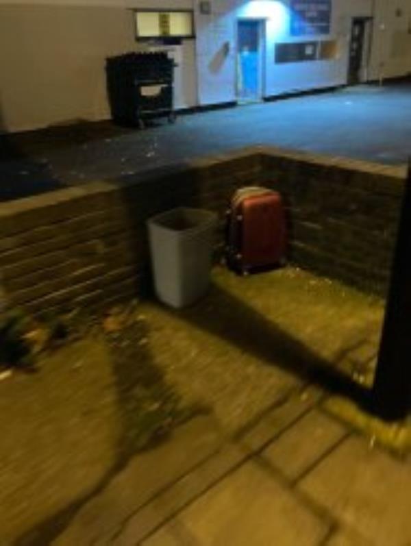 The usual suitcase and a classic bin fly tip this time. Please can you clear asap.
-317 Hither Green Lane