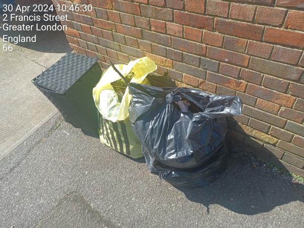 On the pavement next to the bins, garden waste. -10 Francis Street, Stratford, London, E15 1JG