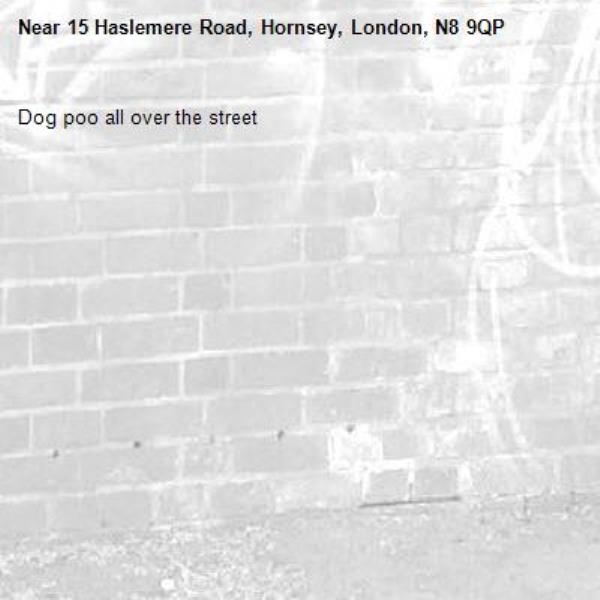 Dog poo all over the street-15 Haslemere Road, Hornsey, London, N8 9QP