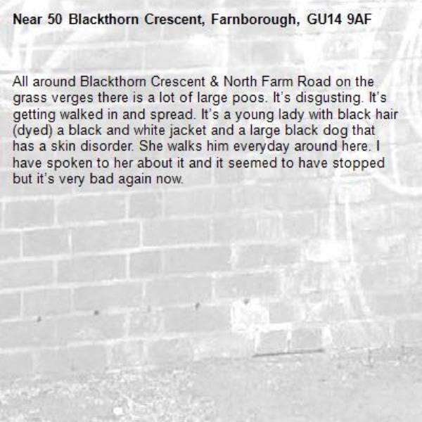 All around Blackthorn Crescent & North Farm Road on the grass verges there is a lot of large poos. It’s disgusting. It’s getting walked in and spread. It’s a young lady with black hair (dyed) a black and white jacket and a large black dog that has a skin disorder. She walks him everyday around here. I have spoken to her about it and it seemed to have stopped but it’s very bad again now. -50 Blackthorn Crescent, Farnborough, GU14 9AF