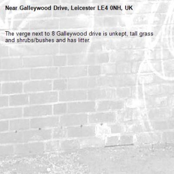 The verge next to 8 Galleywood drive is unkept, tall grass and shrubs/bushes and has litter.-Galleywood Drive, Leicester LE4 0NH, UK