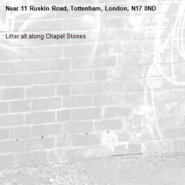 Litter all along Chapel Stones-11 Ruskin Road, Tottenham, London, N17 8ND