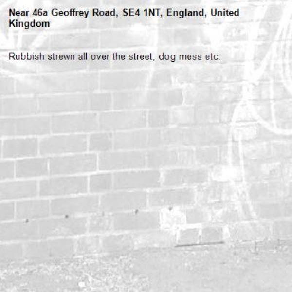 Rubbish strewn all over the street, dog mess etc.
-46a Geoffrey Road, SE4 1NT, England, United Kingdom