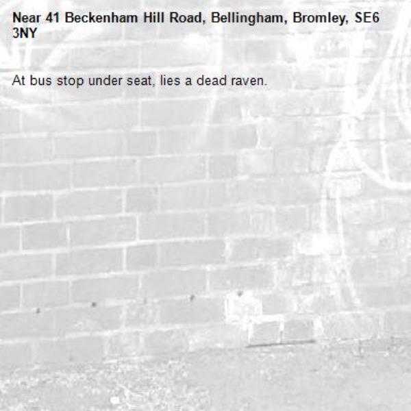At bus stop under seat, lies a dead raven.-41 Beckenham Hill Road, Bellingham, Bromley, SE6 3NY