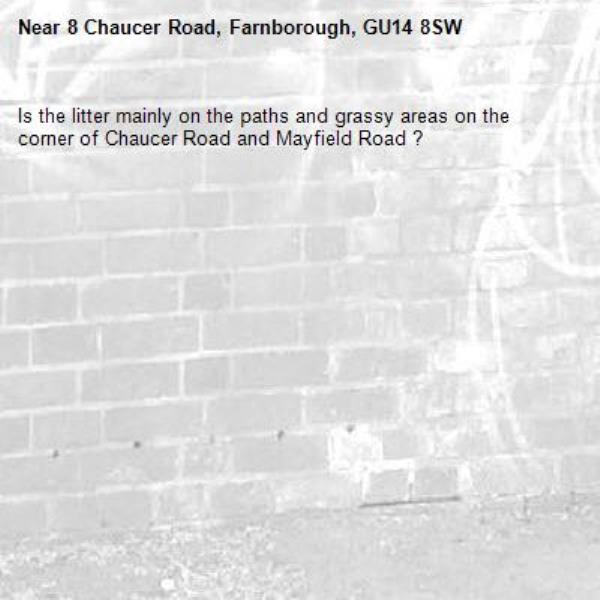 Is the litter mainly on the paths and grassy areas on the corner of Chaucer Road and Mayfield Road ?-8 Chaucer Road, Farnborough, GU14 8SW