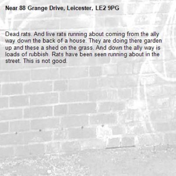 Dead rats. And live rats running about coming from the ally way down the back of a house. They are doing there garden up and these a shed on the grass. And down the ally way is loads of rubbish. Rats have been seen running about in the street. This is not good. -88 Grange Drive, Leicester, LE2 9PG