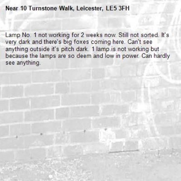 Lamp No. 1 not working for 2 weeks now. Still not sorted. It&#39;s very dark and there&#39;s big foxes coming here. Can&#39;t see anything outside it&#39;s pitch dark. 1 lamp.is not working but because the lamps are so deem and low in power. Can hardly see anything.-10 Turnstone Walk, Leicester, LE5 3FH