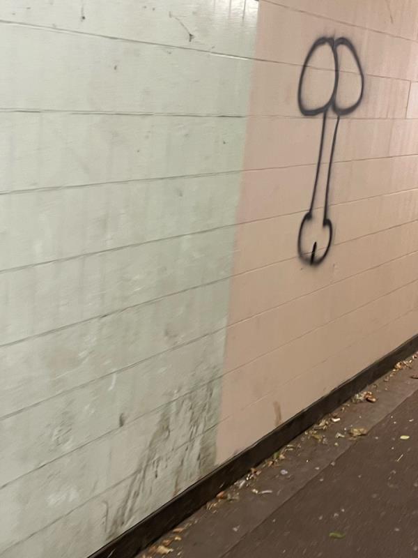 Offensive graffiti is located in a subway -202 Oldfield Ln S, Greenford UB6 9JS, UK
