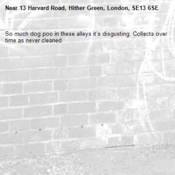 So much dog poo in these alleys it’s disgusting. Collects over time as never cleaned. -13 Harvard Road, Hither Green, London, SE13 6SE