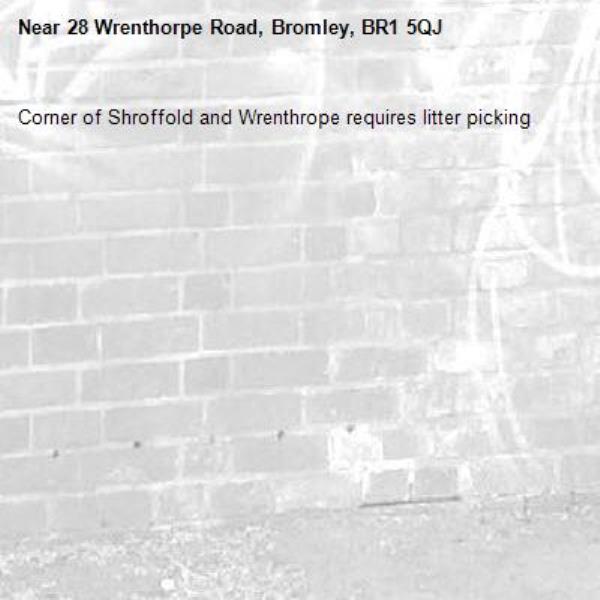Corner of Shroffold and Wrenthrope requires litter picking -28 Wrenthorpe Road, Bromley, BR1 5QJ