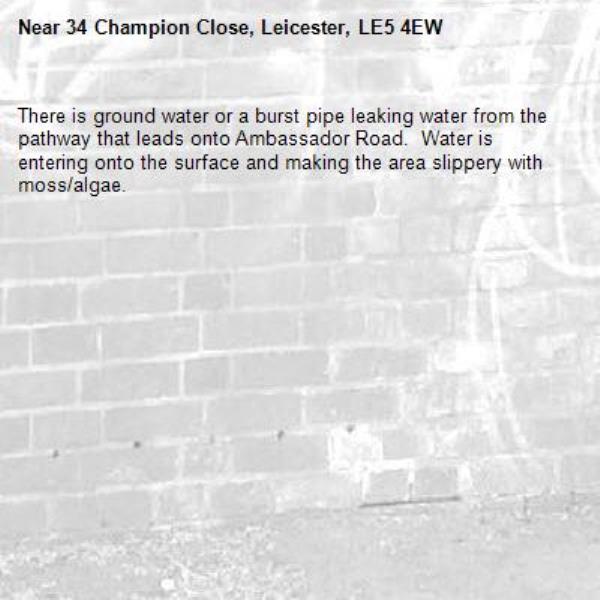 There is ground water or a burst pipe leaking water from the pathway that leads onto Ambassador Road.  Water is entering onto the surface and making the area slippery with moss/algae.  -34 Champion Close, Leicester, LE5 4EW