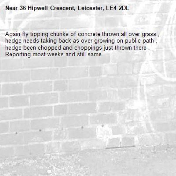 Again fly tipping chunks of concrete thrown all over grass , hedge needs taking back as over growing on public path , hedge been chopped and choppings just thrown there . Reporting most weeks and still same -36 Hipwell Crescent, Leicester, LE4 2DL