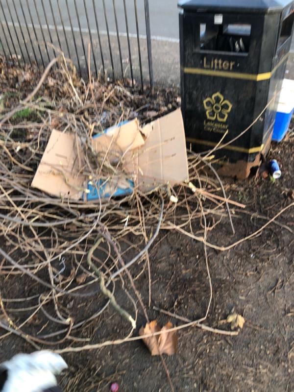 Garden waste household waste tipped at bin on green space Martin street -140 Harrington Street, Latimer, LE4 6ES, England, United Kingdom
