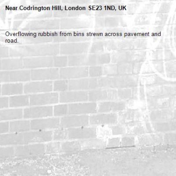 Overflowing rubbish from bins strewn across pavement and road.-Codrington Hill, London SE23 1ND, UK