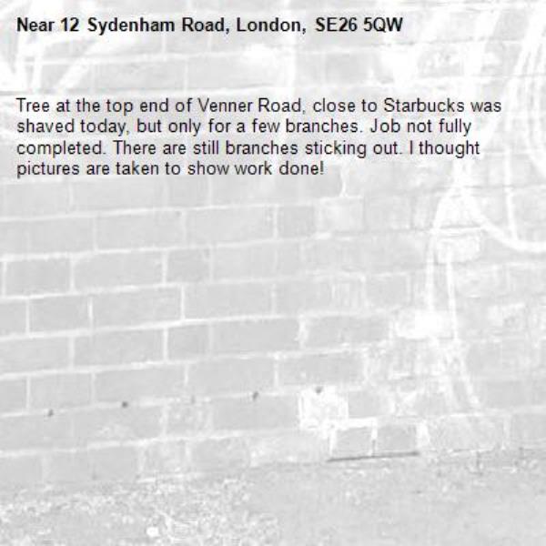 Tree at the top end of Venner Road, close to Starbucks was shaved today, but only for a few branches. Job not fully completed. There are still branches sticking out. I thought pictures are taken to show work done! -12 Sydenham Road, London, SE26 5QW
