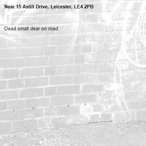Dead small dear on road-15 Astill Drive, Leicester, LE4 2PB
