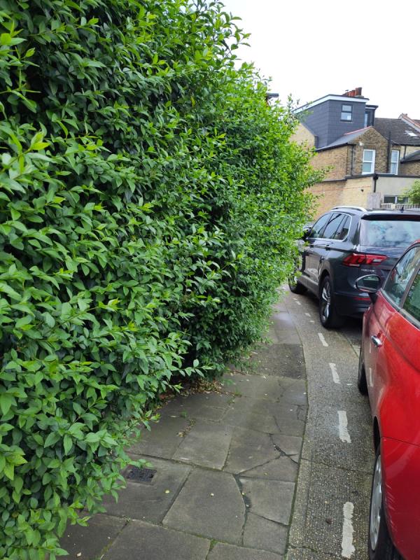 Hedge blocking footpath-3 Longhurst Road, London, SE13 5LR