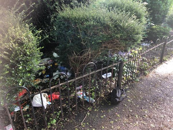 Please clear build up of rubbish from Highways Enclosure -5 Riddons Road, Grove Park, London, SE12 9RB