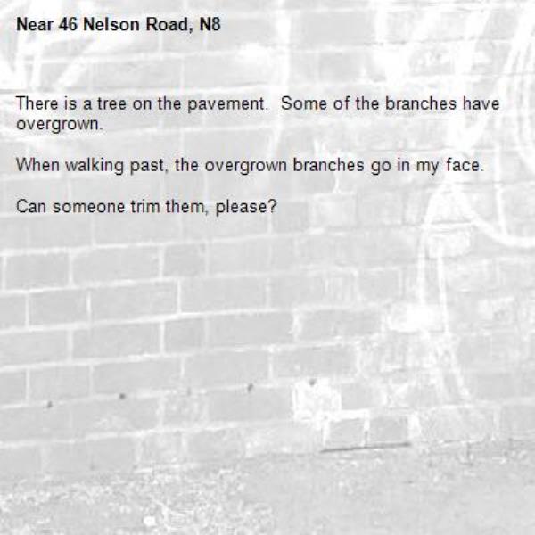 There is a tree on the pavement.  Some of the branches have overgrown.

When walking past, the overgrown branches go in my face.

Can someone trim them, please?
-46 Nelson Road, N8