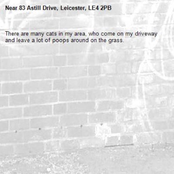 There are many cats in my area, who come on my driveway and leave a lot of poops around on the grass. -83 Astill Drive, Leicester, LE4 2PB