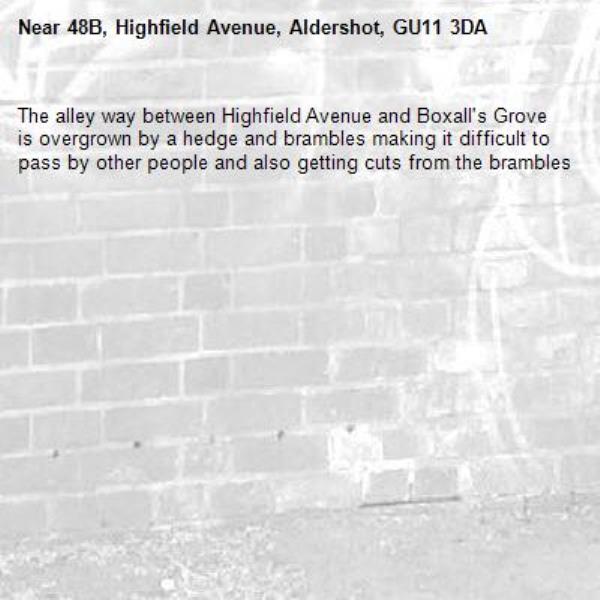 The alley way between Highfield Avenue and Boxall's Grove is overgrown by a hedge and brambles making it difficult to pass by other people and also getting cuts from the brambles-48B, Highfield Avenue, Aldershot, GU11 3DA
