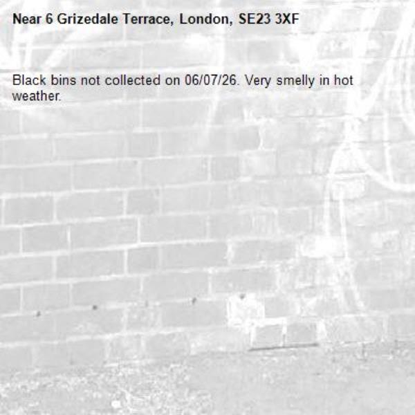 Black bins not collected on 06/07/26. Very smelly in hot weather. -6 Grizedale Terrace, London, SE23 3XF