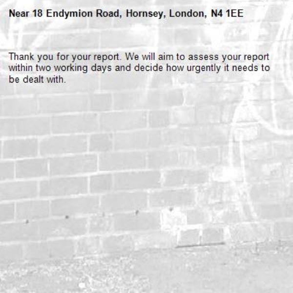 Thank you for your report. We will aim to assess your report within two working days and decide how urgently it needs to be dealt with.-18 Endymion Road, Hornsey, London, N4 1EE