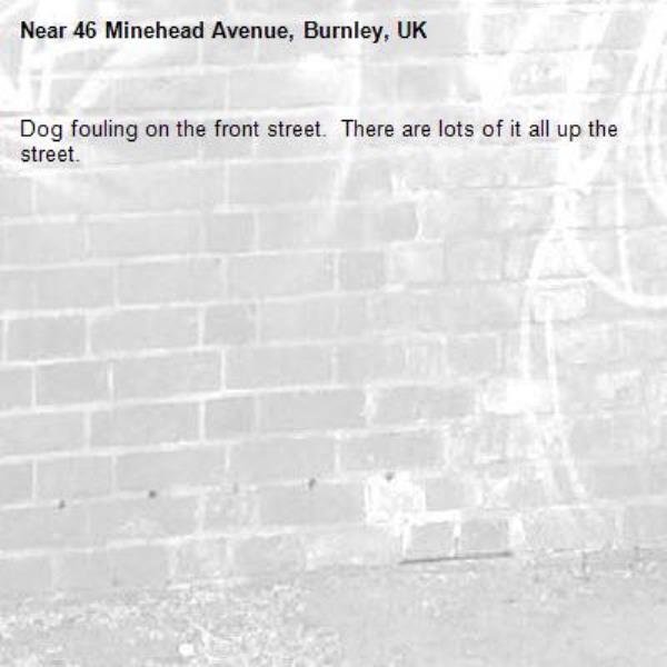 Dog fouling on the front street.  There are lots of it all up the street.-46 Minehead Avenue, Burnley, UK