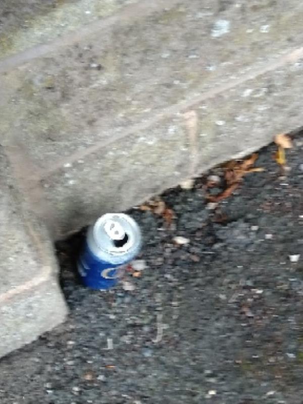 empty beer cans and other litter outside  9 Hlll rd Bilston-6 Hill Road, Walsall, WV13 3TR