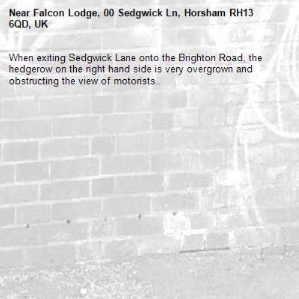 When exiting Sedgwick Lane onto the Brighton Road, the hedgerow on the right hand side is very overgrown and obstructing the view of motorists..-Falcon Lodge, 00 Sedgwick Ln, Horsham RH13 6QD, UK