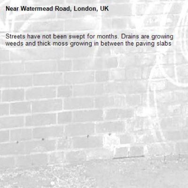 Streets have not been swept for months. Drains are growing weeds and thick moss growing in between the paving slabs-Watermead Road, London, UK