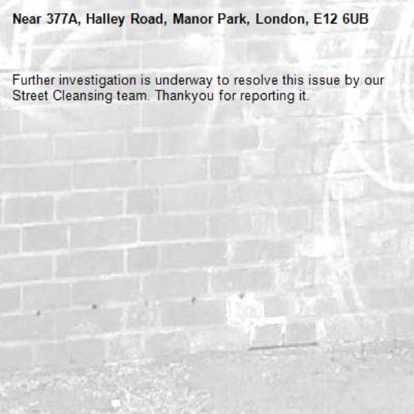 Further investigation is underway to resolve this issue by our Street Cleansing team. Thankyou for reporting it.-377A, Halley Road, Manor Park, London, E12 6UB
