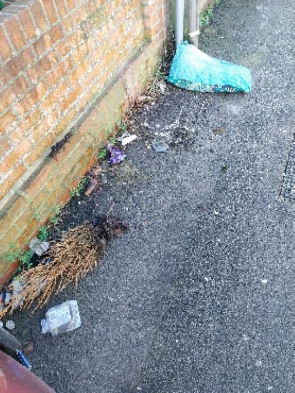 litter on pavement -50 Salisbury Road, Reading, RG30 1BL