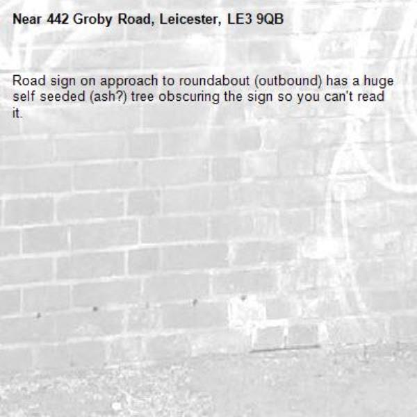 Road sign on approach to roundabout (outbound) has a huge self seeded (ash?) tree obscuring the sign so you can't read it. -442 Groby Road, Leicester, LE3 9QB