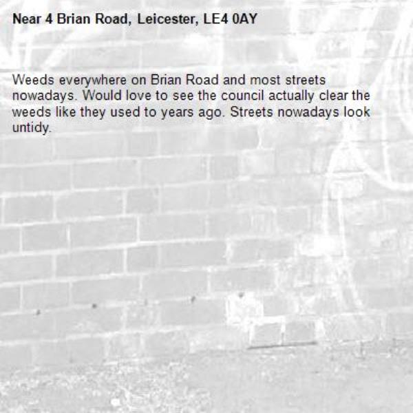Weeds everywhere on Brian Road and most streets nowadays. Would love to see the council actually clear the weeds like they used to years ago. Streets nowadays look untidy. -4 Brian Road, Leicester, LE4 0AY