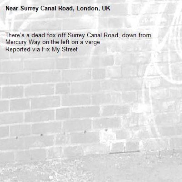 There’s a dead fox off Surrey Canal Road, down from Mercury Way on the left on a verge
Reported via Fix My Street-Surrey Canal Road, London, UK